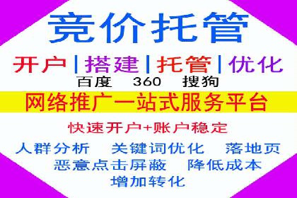 行业领先企业的SEM开户成功案例